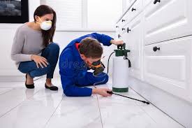 Best Fumigation Services  in West Dundee, IL